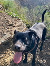 Max Boy - Photo 3