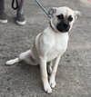 Pippa - Photo 10