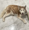 Coco - Photo 2