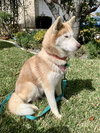 Coco - Photo 5