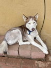 Coco - Photo 3