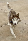 Coco - Photo 4