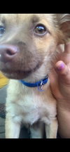 Titto - Photo 19