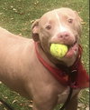 Cutie Chunks - Photo 3