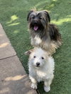 Ella and Shelby - Photo 5