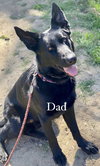 Molly - Photo 5