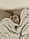 Lucky - Photo 3