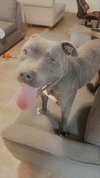 Lucky - Photo 4