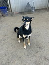 Kevan - Photo 2