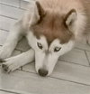 Sasha - Photo 4