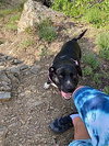 Daisy Girl - Photo 2