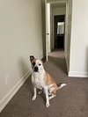 Daisy - Photo 2