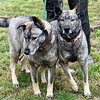 Freida and Dallen - Photo 2