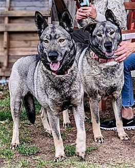 Freida and Dallen