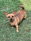 Penny - Photo 2