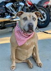 Chyna - Photo 2