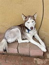 Coco - Photo 3