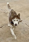 Coco - Photo 4