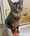 Fred - Photo 2