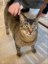 Fred - Photo 3