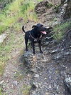 Max Boy - Photo 2