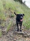 Max Boy - Photo 3