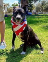 Xena Girl - Photo 3