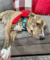 Mason Boy - Photo 4