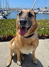 Grizzly - Photo 3