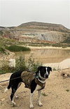 Lola - Photo 4