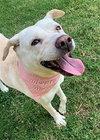 Maddy - Photo 2