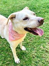 Maddy - Photo 3
