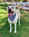 Maddy - Photo 4