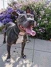 Keisy - Photo 2
