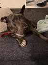 Keisy - Photo 4
