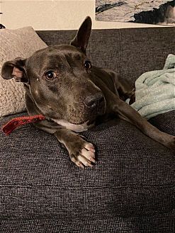 Photo 4 of Keisy