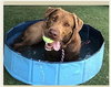 Delilah - Photo 3