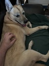 Dakota - Photo 3