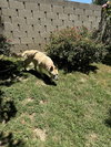 Dakota - Photo 4