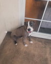 Kira - Photo 3