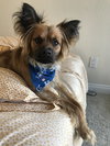 Muncy - Photo 1