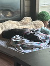 Lucy - Photo 3