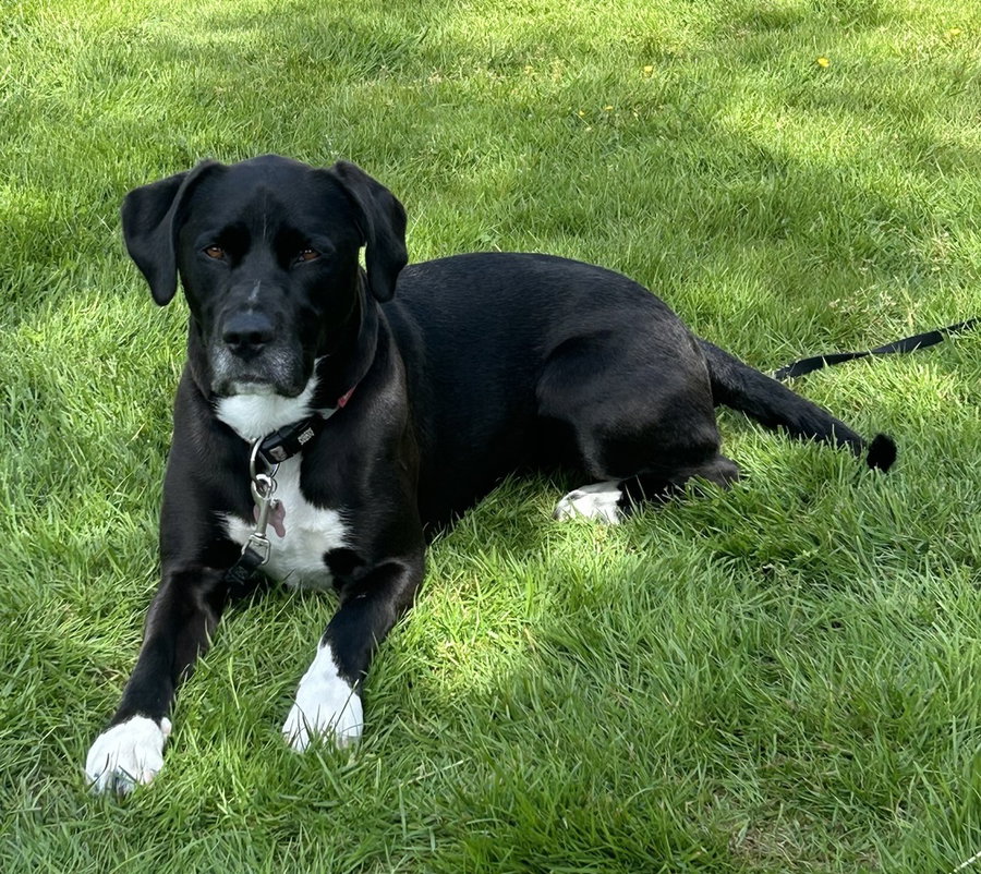 Lucy