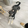 Tytan - Photo 2