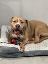Franklin - Photo 4