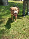 Franklin - Photo 2