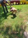 Franklin - Photo 3
