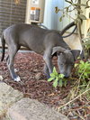 Selene - Photo 4
