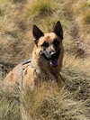 Titan - Photo 2