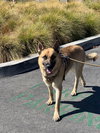 Titan - Photo 4